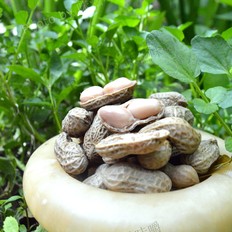 甘香花生 ,甘香花生 怎么做,家常菜,小吃教程,家常菜,家常菜做法,小吃培训,甘香花生 的做法,