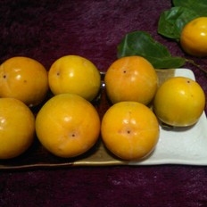 揽柿子 ,揽柿子 怎么做,家常菜,小吃教程,家常菜,家常菜做法,小吃培训,揽柿子 的做法,