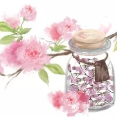 手绘食谱：盐渍樱花 手造的暖意 任何工业化商品都比不过 ,手绘食谱：盐渍樱花 手造的暖意 任何工业化商品都比不过 怎么做,家常菜,小吃教程,家常菜,家常菜做法,小吃培训,手绘食谱：盐渍樱花 手造的暖意 任何工业化商品都比不过 的做法,