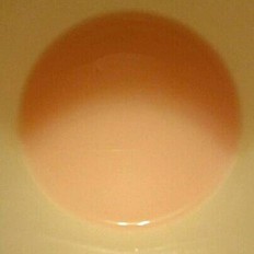 草莓布丁 ,草莓布丁 怎么做,汤粥,小吃教程,家常菜,家常菜做法,小吃培训,草莓布丁 的做法,
